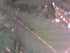 Photo0199_EDIT.jpg