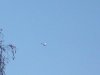 DSC01226.jpg