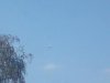 DSC01225.jpg