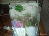 pict0005.jpg