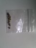 2010-04-03 09.38.11.jpg
