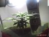 day 23-3.jpg