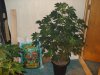 DSC00279.jpg