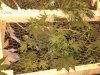 DSC00315.jpg