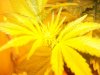 100_2474.jpg