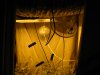 April 30, 2010 001.jpg