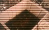 IMG000046.jpg