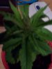 100_1643.jpg