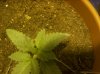 100_0469.jpg