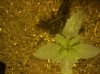 100_0472.jpg
