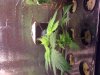 2010 045.jpg 2010 045.jpg
