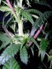20100506220454.jpg