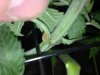 07052010039.jpg