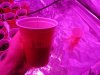 IMG_0299.jpg IMG_0299.jpg
