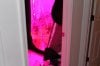 IMG_0280.jpg