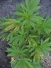 100_1082.jpg