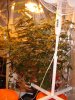 DSC00587.jpg