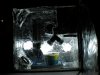 DSCN0361.jpg