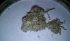 IMAG0004.jpg
