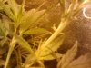2010-05-14 14.40.53.jpg
