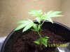 100_1341.jpg