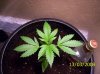 100_1340.jpg
