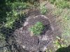 2010-05-15 15.35.01.jpg