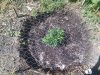 2010-05-15 15.36.04.jpg