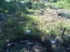 2010-05-15 15.36.30.jpg