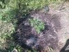 2010-05-15 15.35.55.jpg