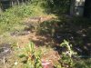 2010-05-15 15.34.52.jpg
