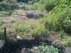 2010-05-15 15.36.38.jpg
