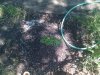 2010-05-15 15.35.08.jpg