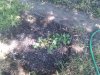 2010-05-15 15.35.51.jpg