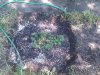 2010-05-15 15.35.46.jpg