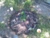 2010-05-15 15.36.09.jpg