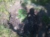 2010-05-15 15.36.12.jpg