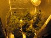 7th week 5-15-2010.jpg