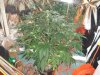 DSC00624.jpg