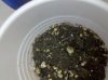 2010-05-17 13.23.08.jpg