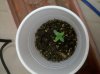2010-05-17 13.22.45.jpg