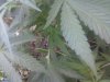 0517101448_01.jpeg
