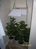 100_0590.jpg