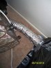 100_0600.jpg