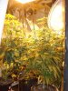 DSC00704.jpg