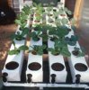 pvc-pipe-hydroponic-garden.jpg