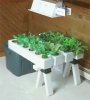 3-foot-pvc-hydro-garden.jpg