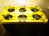 04-24-10_New_Clones.jpg 04-24-10_New_Clones.jpg