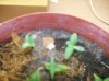 100_1573.jpg