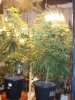 DSC02025.jpg
